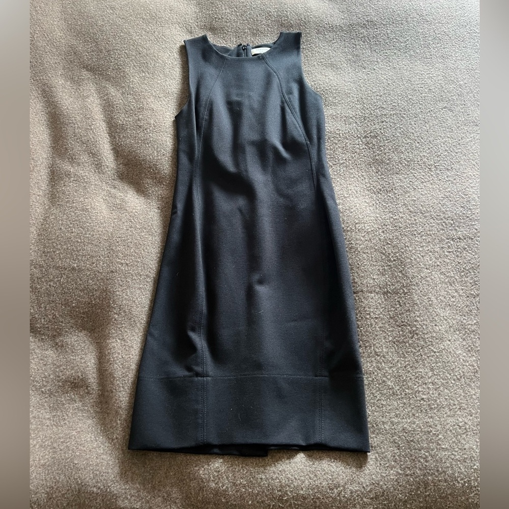 Aritzia Babton Dress